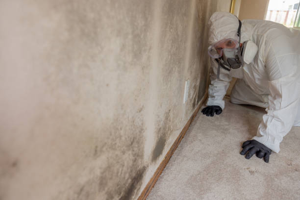 Best Commercial water damage restoration  in Smoke Rise, AL